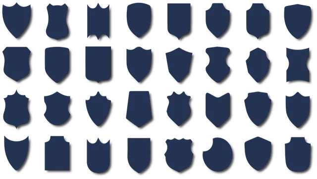 leadershipShield
